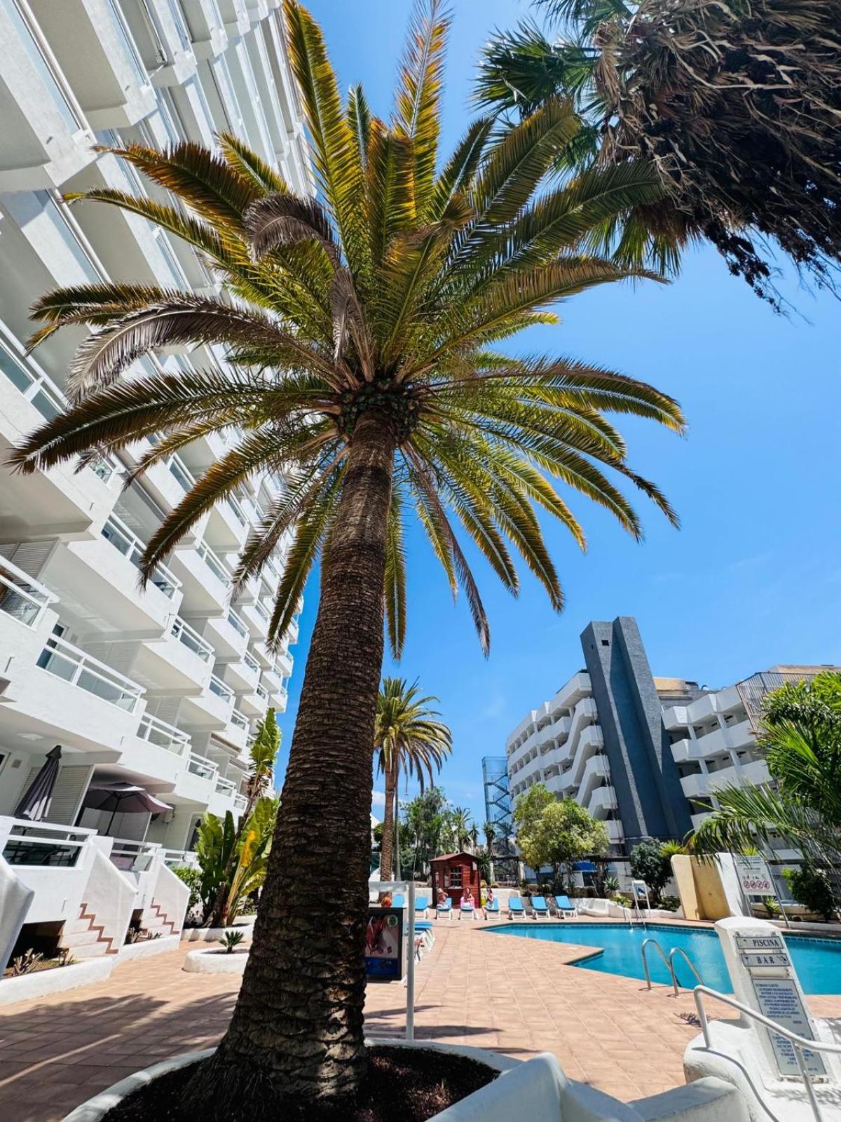 Jameo De Agua, Las Americas Studio Sea View Playa Feñabe Bagian luar foto