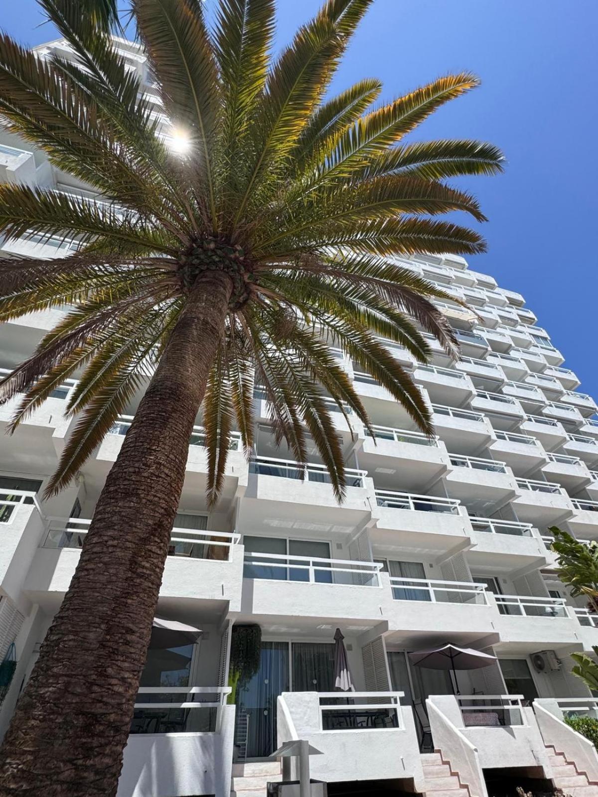 Jameo De Agua, Las Americas Studio Sea View Playa Feñabe Bagian luar foto